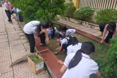 Công tác vệ sinh môi trường của học sinh trường Tiểu học Hoàng Tây